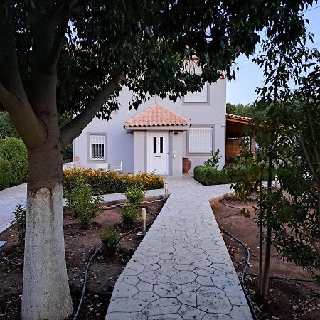 Studio Katafigi Anavyssos Ngoại thất bức ảnh